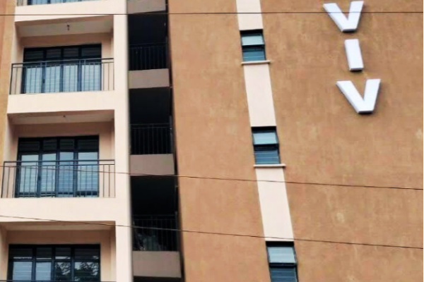 aviv crop
